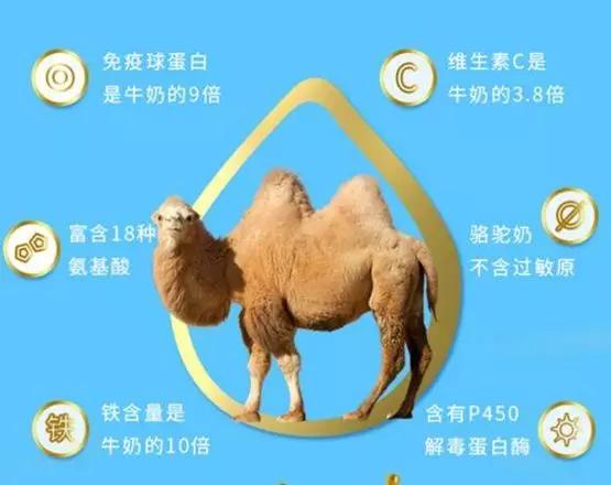 牛奶羊奶驼奶各种奶粉的问题,驼奶牛奶羊奶哪个奶好