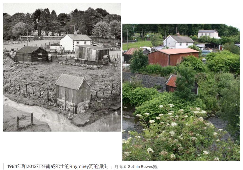 日本入侵中国的植物,日本入侵植物