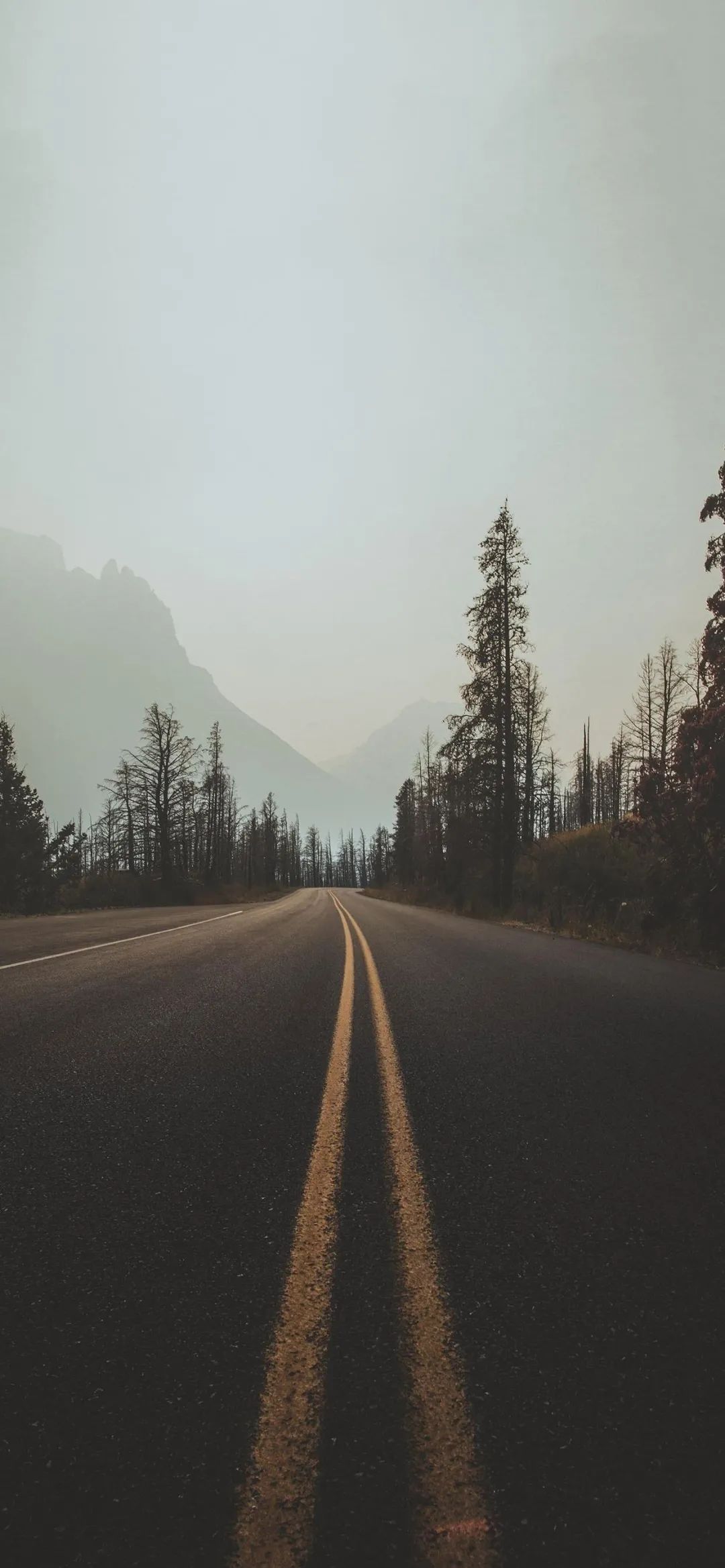 55张高清超好看iphone壁纸,2023壁纸iphone专用4k