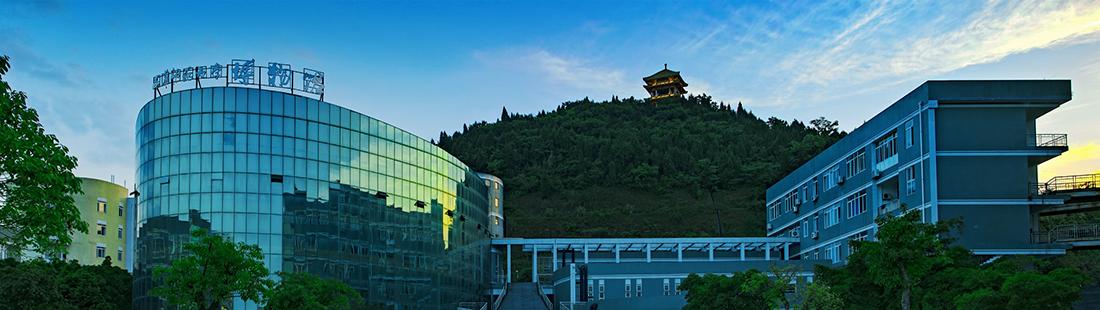 西华师大在校人数,西华师范大学本科生毕业去向