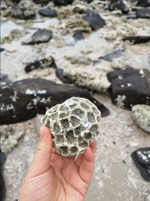 热带雨林中的蓬莱,热带岛屿游玩攻略
