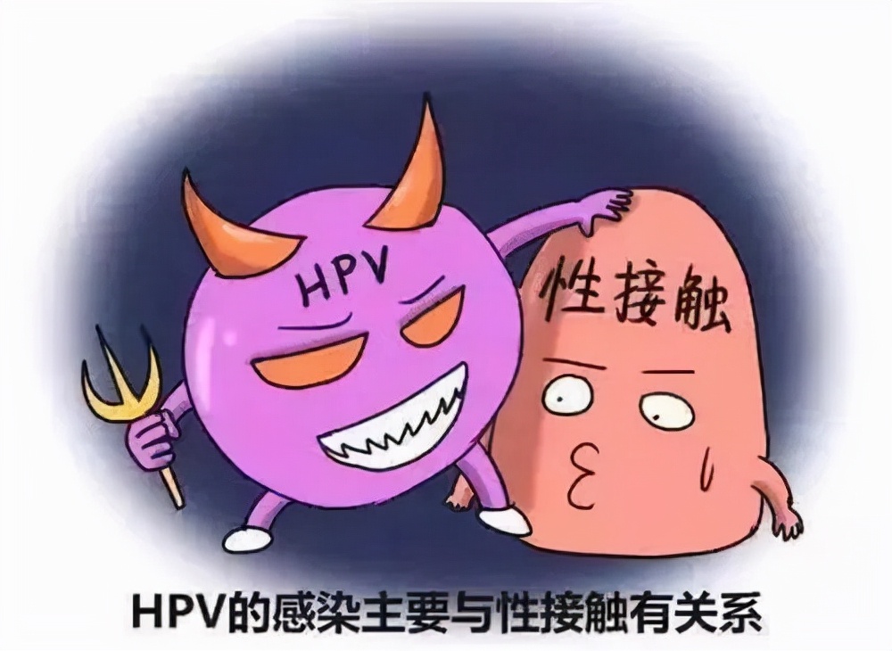 一文看懂人乳头瘤病毒HPV，它并不是传说，这里总有你不知道的
