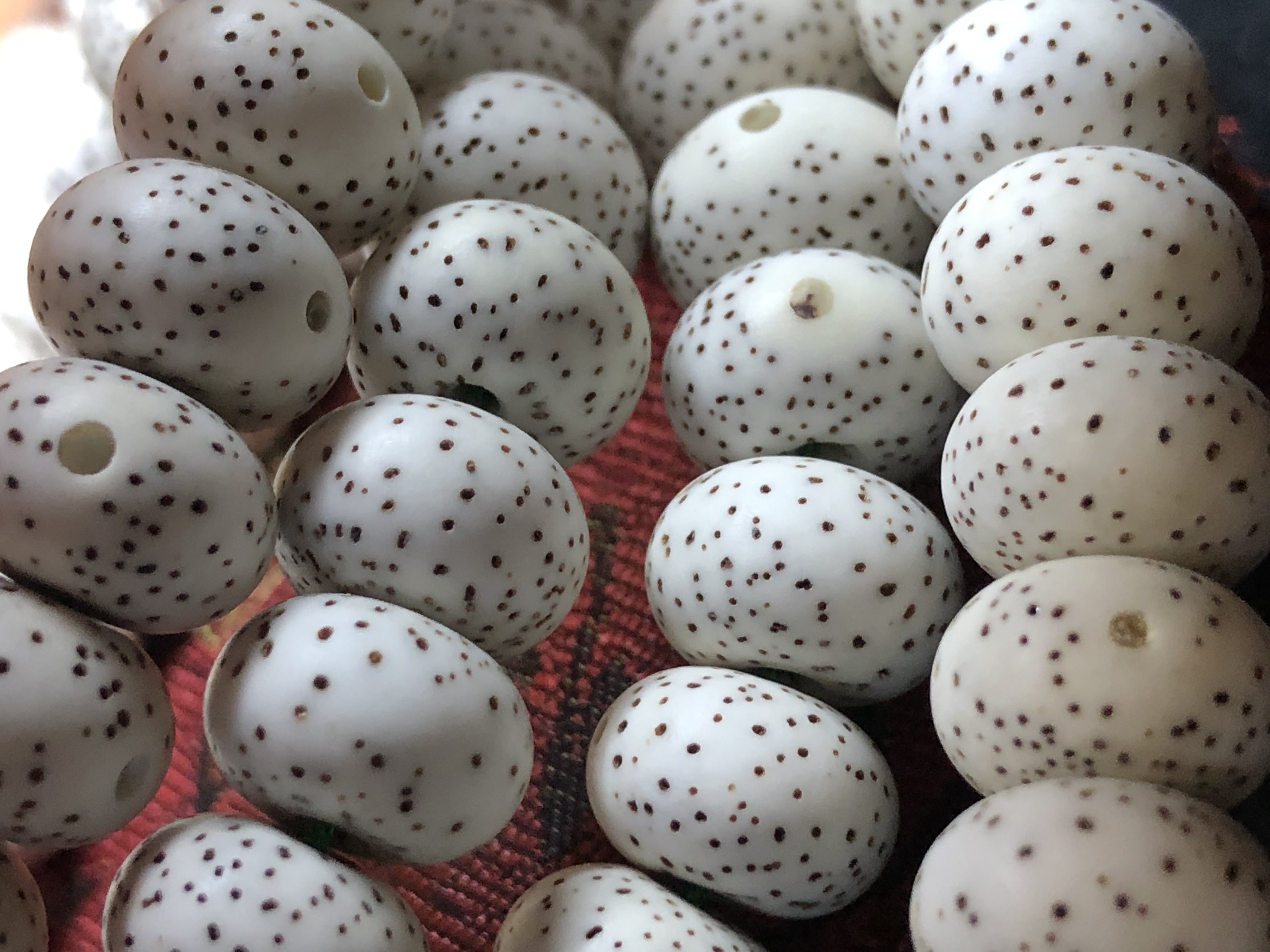 新手入手星月菩提怎么挑选,新手怎么选择星月手串