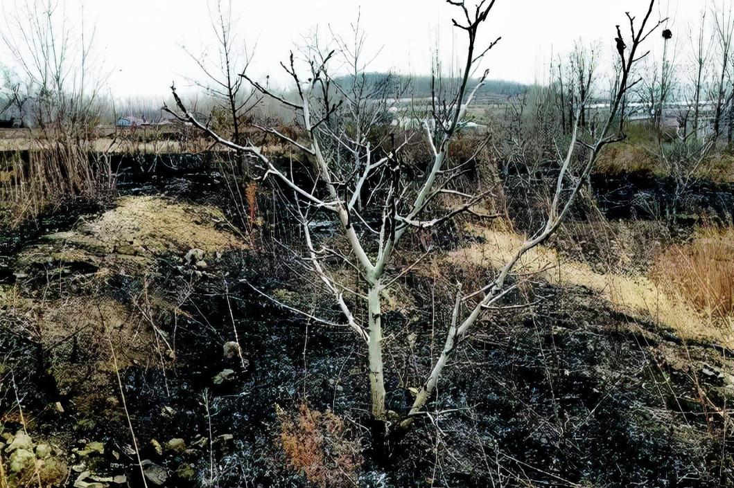 老兵创业的利润,老兵创业致富