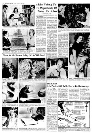 百慕大魔鬼三角地址,百慕大为什么称为魔鬼三角