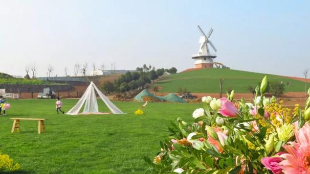 骑游绿道攻略,成都田园生态徒步游