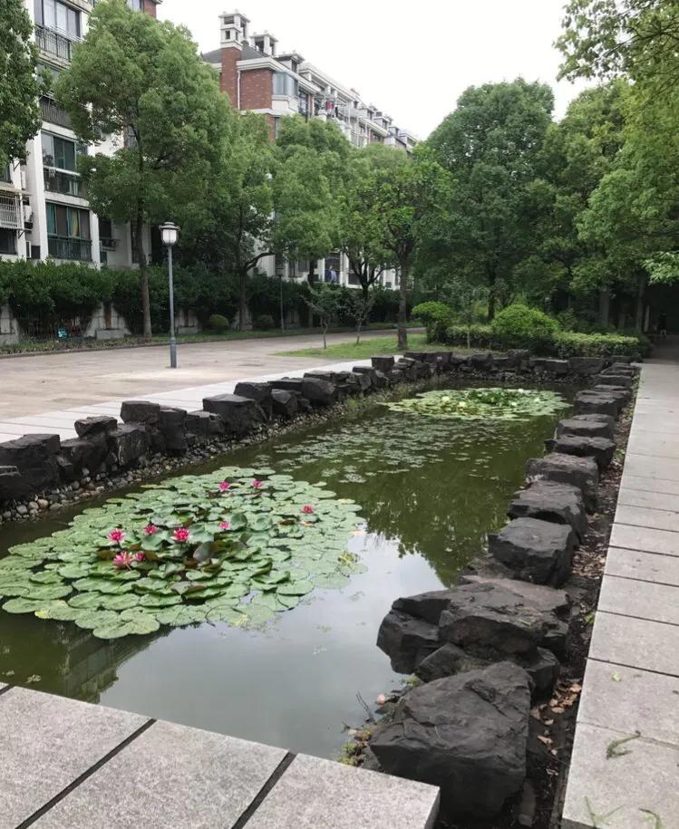 风波小小说,风波亭解说