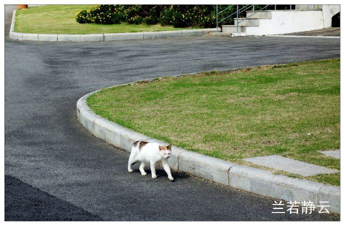 厦门国家会计学院校园,厦门国家会计学院漂亮吗