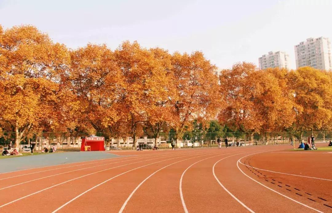 今年夏天在武汉必做的十件事,武汉新春过年坐地铁打卡攻略