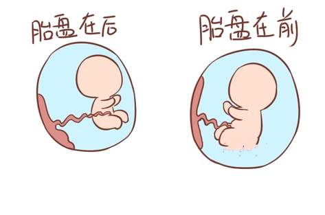 孕妇套话医生问男女，被识破臊一脸，这7项看男女的说法有效吗？