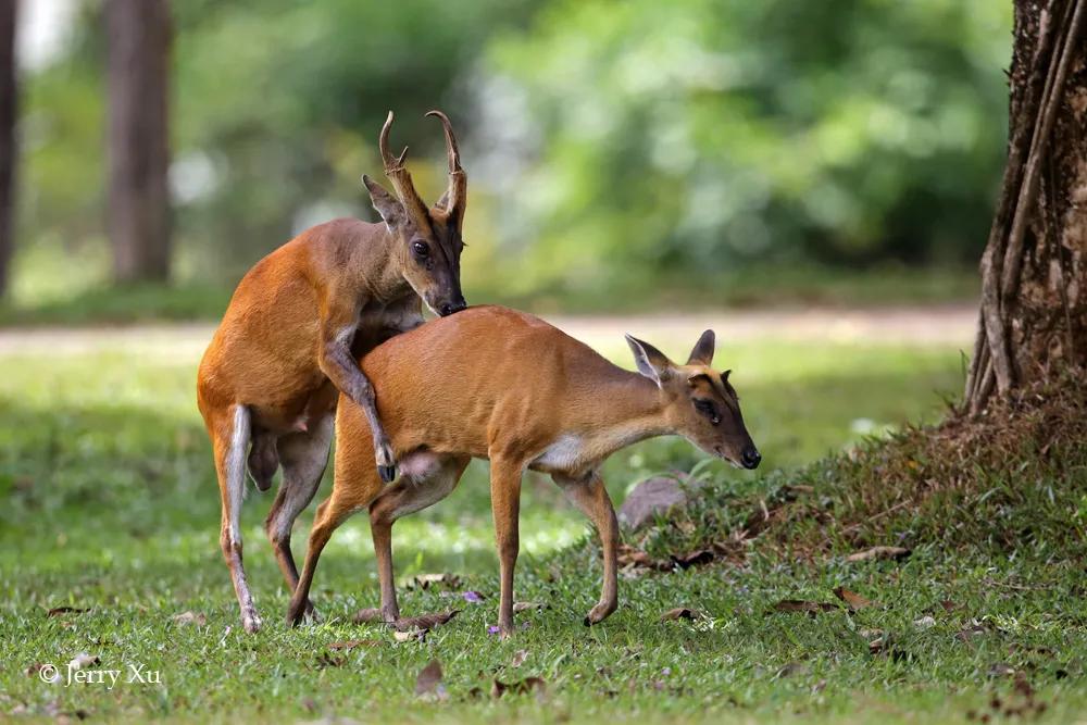 情人节，就该和爱的人*爱做**做的事
