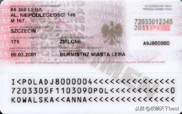 世界各地的身份证什么样子的,身份证世界各国