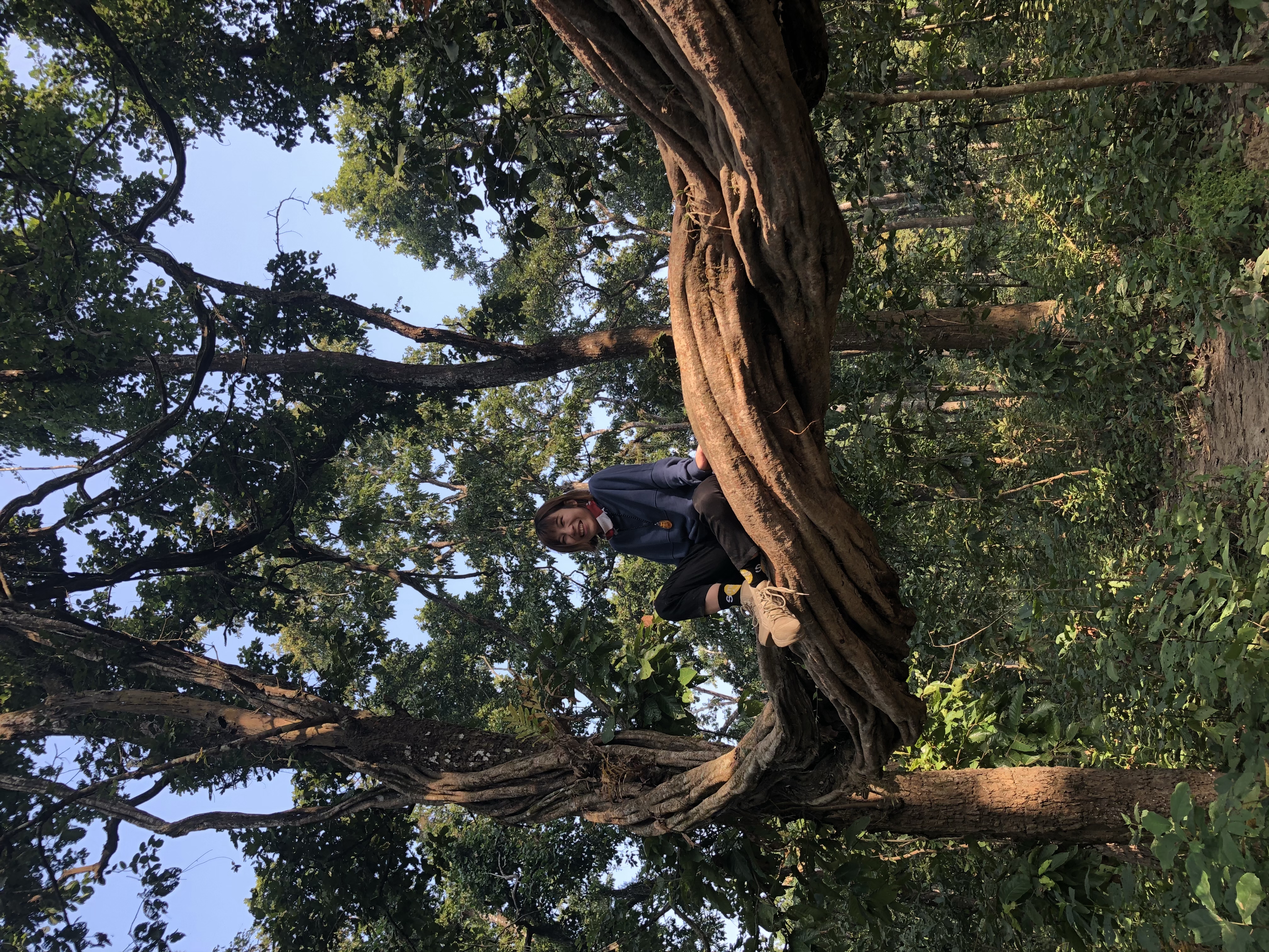 尼泊尔自由行旅游攻略,尼泊尔自驾游纯玩路线定制