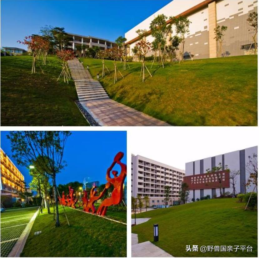 东莞儿童篮球兴趣班培训机构推荐,儿童篮球哪家机构好