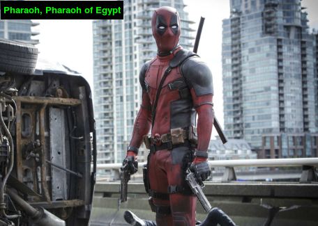 画漫画免费阅读,画小说漫画用什么工具