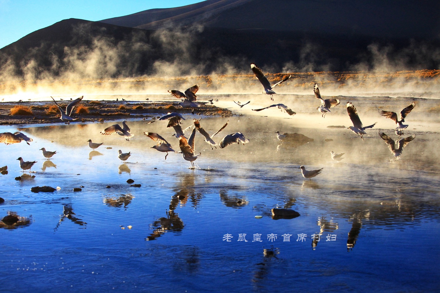 玻利维亚只看天空之镜？七彩湖火烈鸟4层楼高的仙人掌更精彩