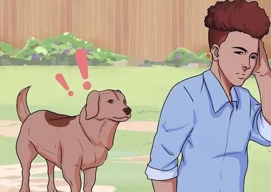 面对狗狗的袭击怎么面对,狗狗有攻击行为怎么纠正