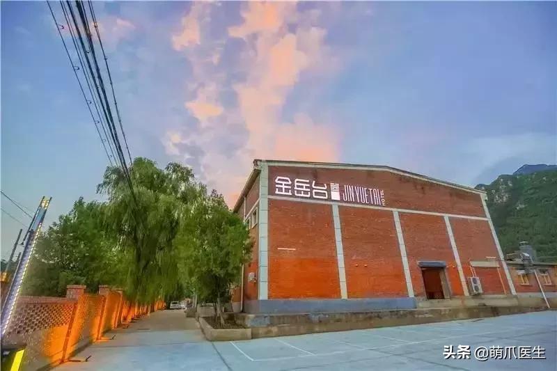 带宠物住宿酒店,带宠旅行酒店