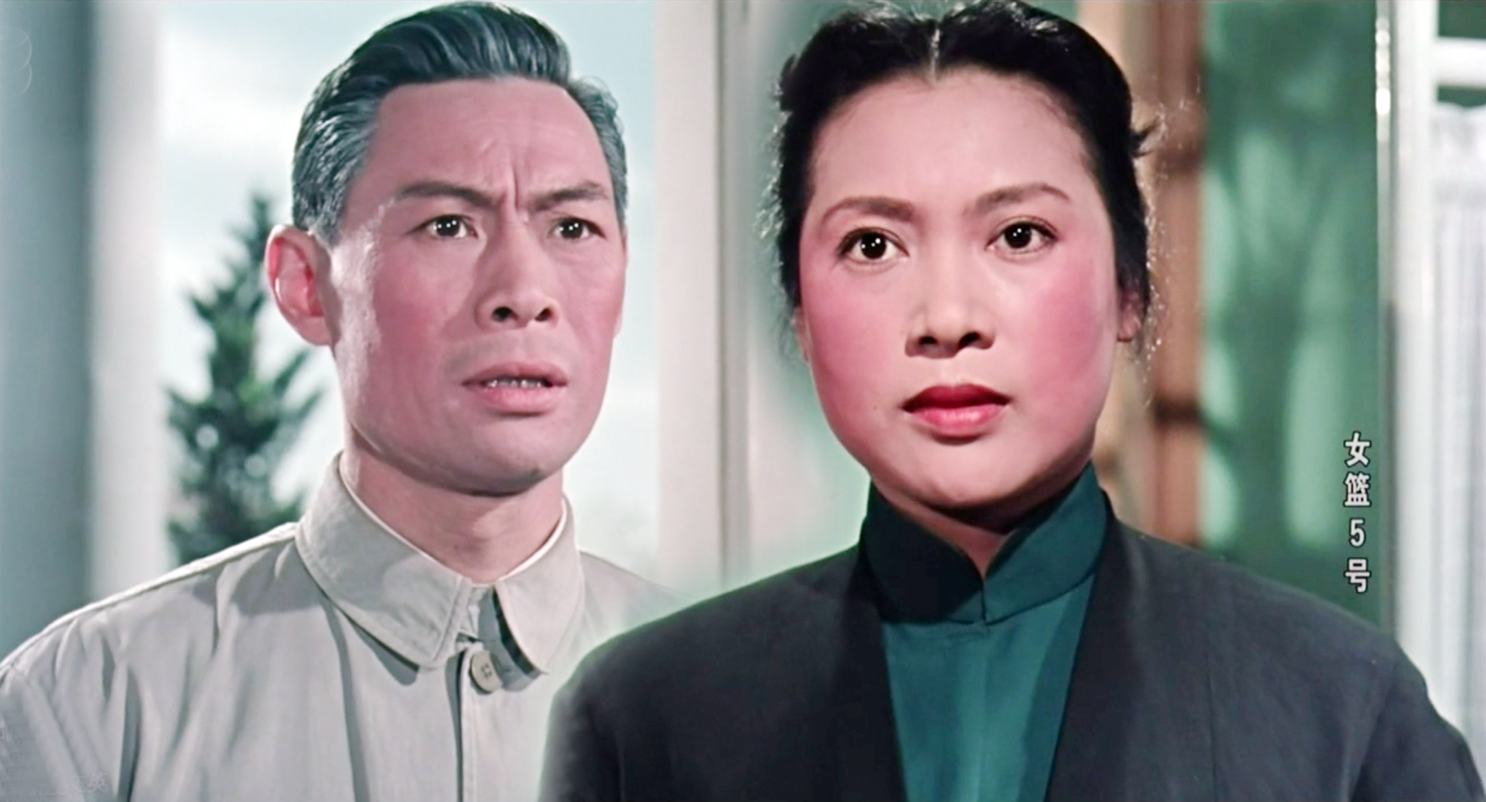 秦怡年轻时高清照片,秦怡年轻时代照片大全