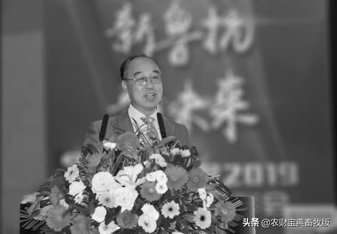 一路走好沉痛缅怀,一路走好沉痛吊唁