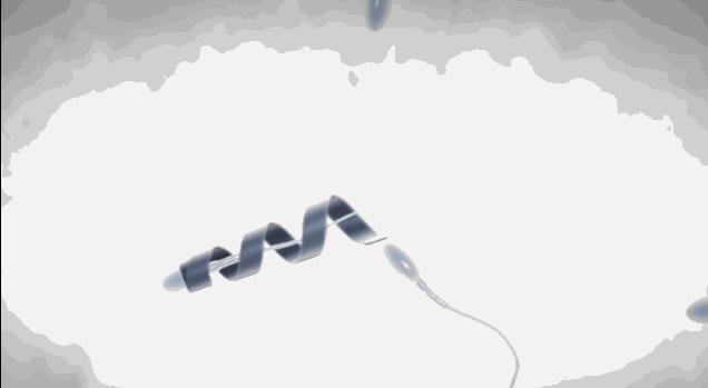 捐精一次6000块，其实优秀的你早已给你的女朋友花了一栋房子的钱