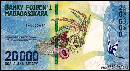 你不知道的国家冷知识卢旺达篇,你不知道的国家冷知识哈萨克