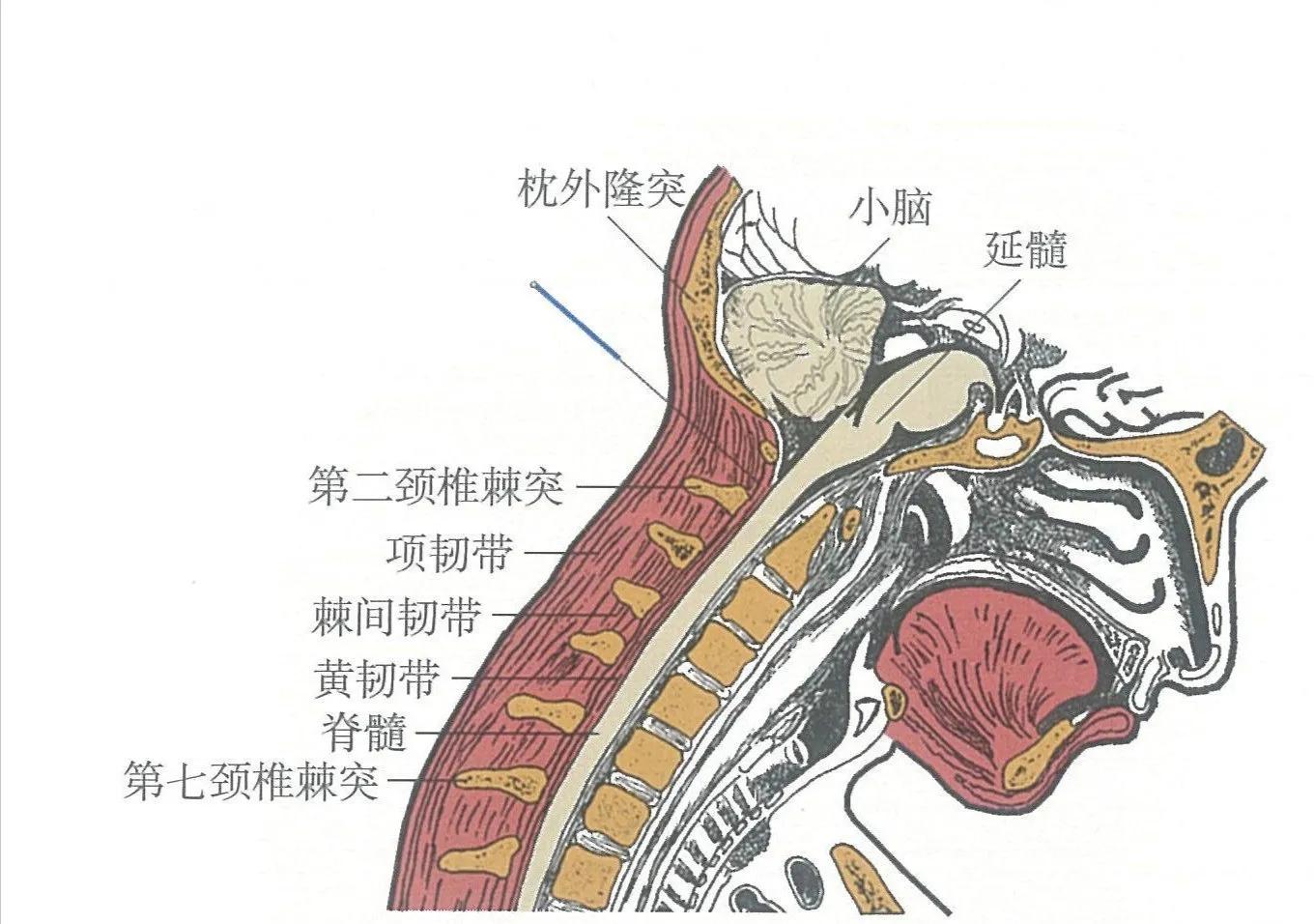 针灸16集视频,针灸第十六集
