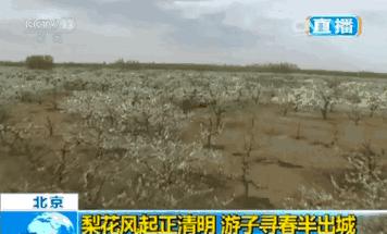 忆清明祖辈给我们留下了什么？