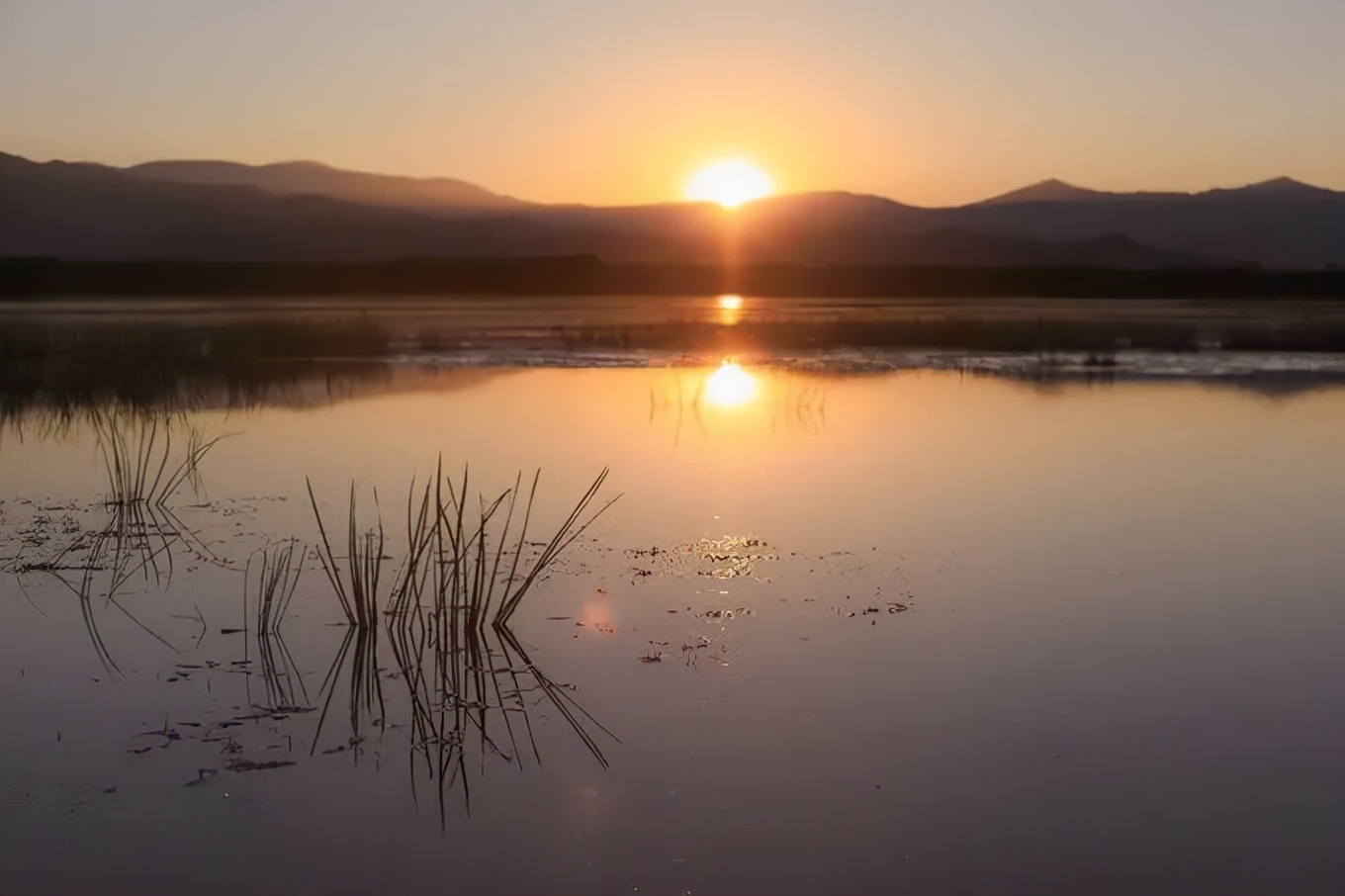 北疆四季,北疆的四季美景