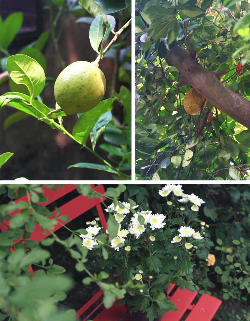 装着上百件藏品的艺术之家竟然还有野趣园林