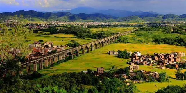 待到春暖花开时与你共赏樱花烂漫,待到春暖花开日便是把酒言欢时