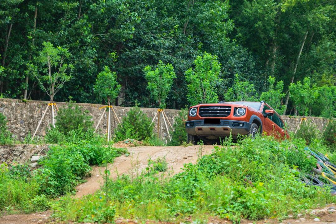 哈弗大狗的三大件稳定性,哈弗大狗四驱动力怎么样
