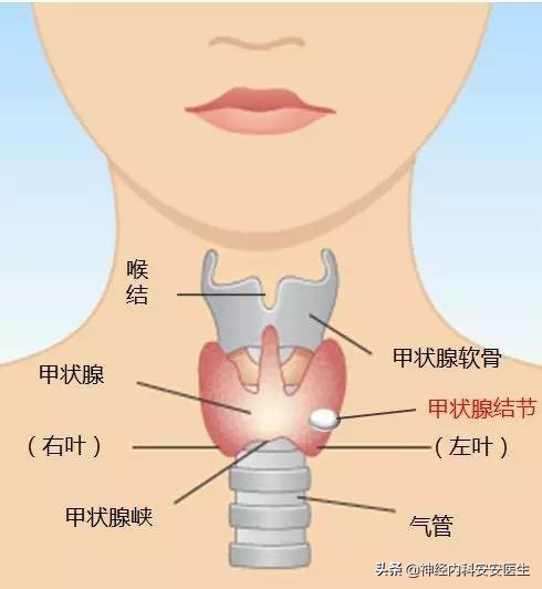 体重一下子减轻了十几斤，这是怎么了？是好还是不好呢？