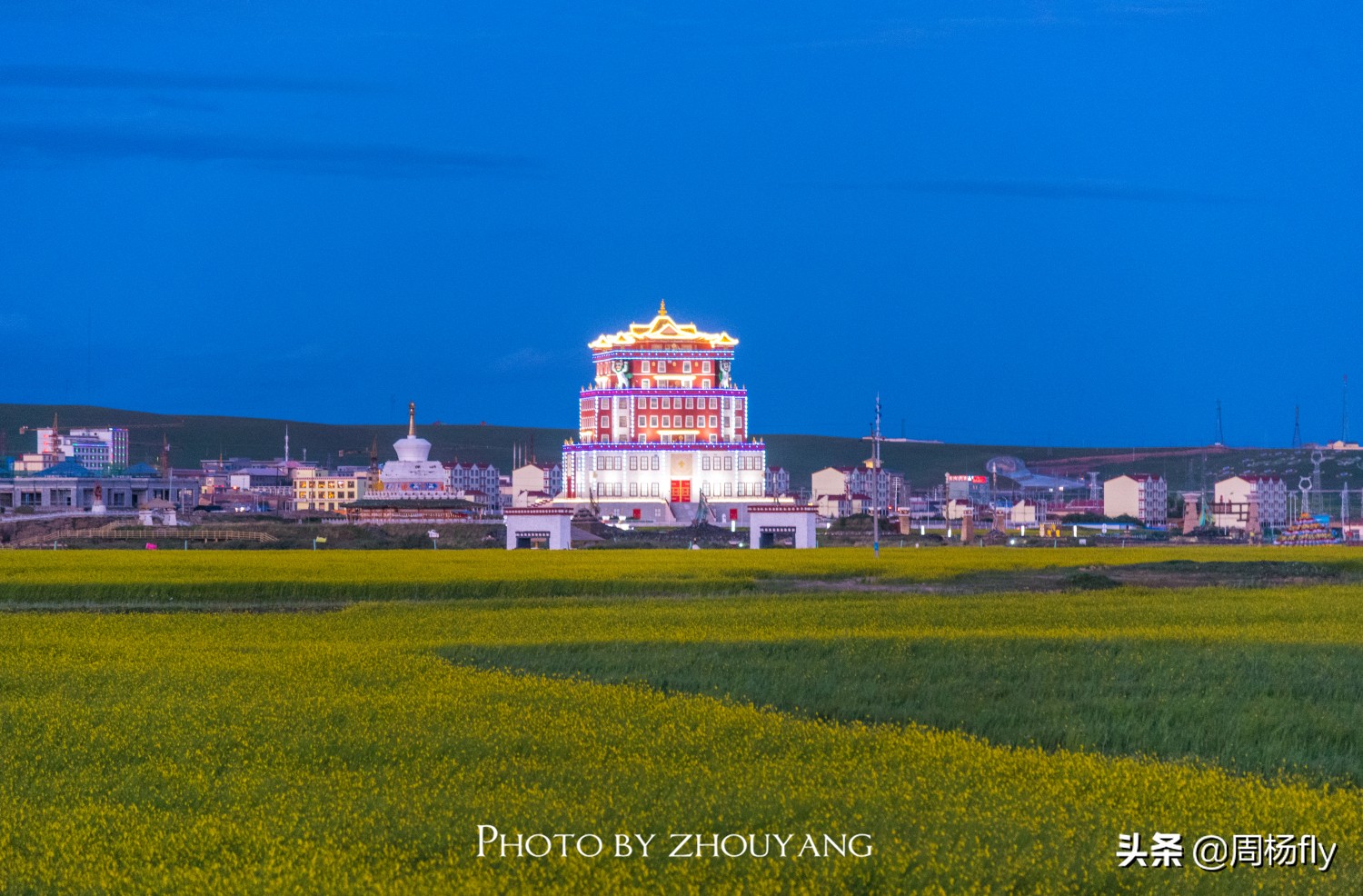 去青海湖会有高原反应吗,去青海湖有高反怎么办