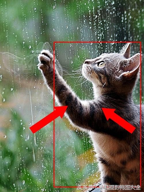 摄影课第一节,摄影课堂最实用的技巧