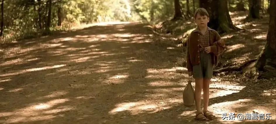 淘漉编辑部的故事：想跟你说说，2020最后一个冬日里的好*光春**