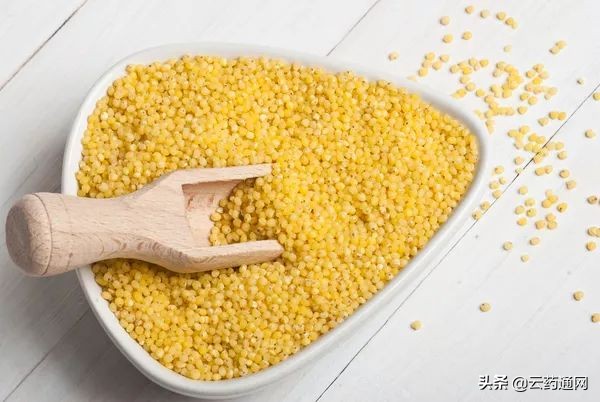 好肝要靠什么养生,好肝是养出来的做好4件事