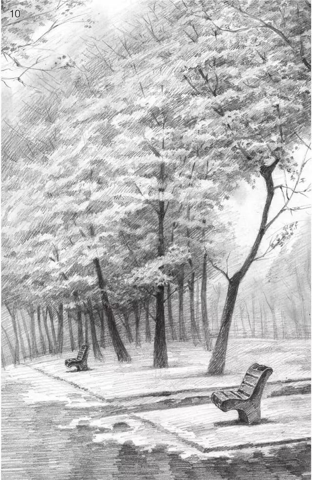 素描雨天树林图片简单版,用八开素描纸怎么画树林