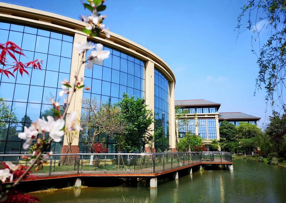 棠湖高中一共考取多少个北大清华,棠湖中学创新实验班多少分能进