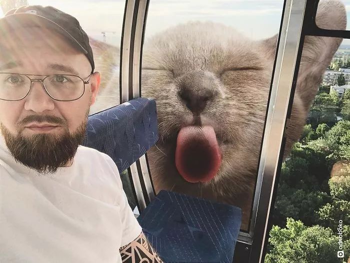 猫咪半夜动静太大怎么解决,猫咪怎么一夜之间变胖