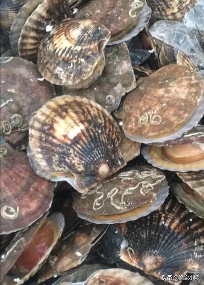 连云港地方特产有哪些,连云港地方特产市场