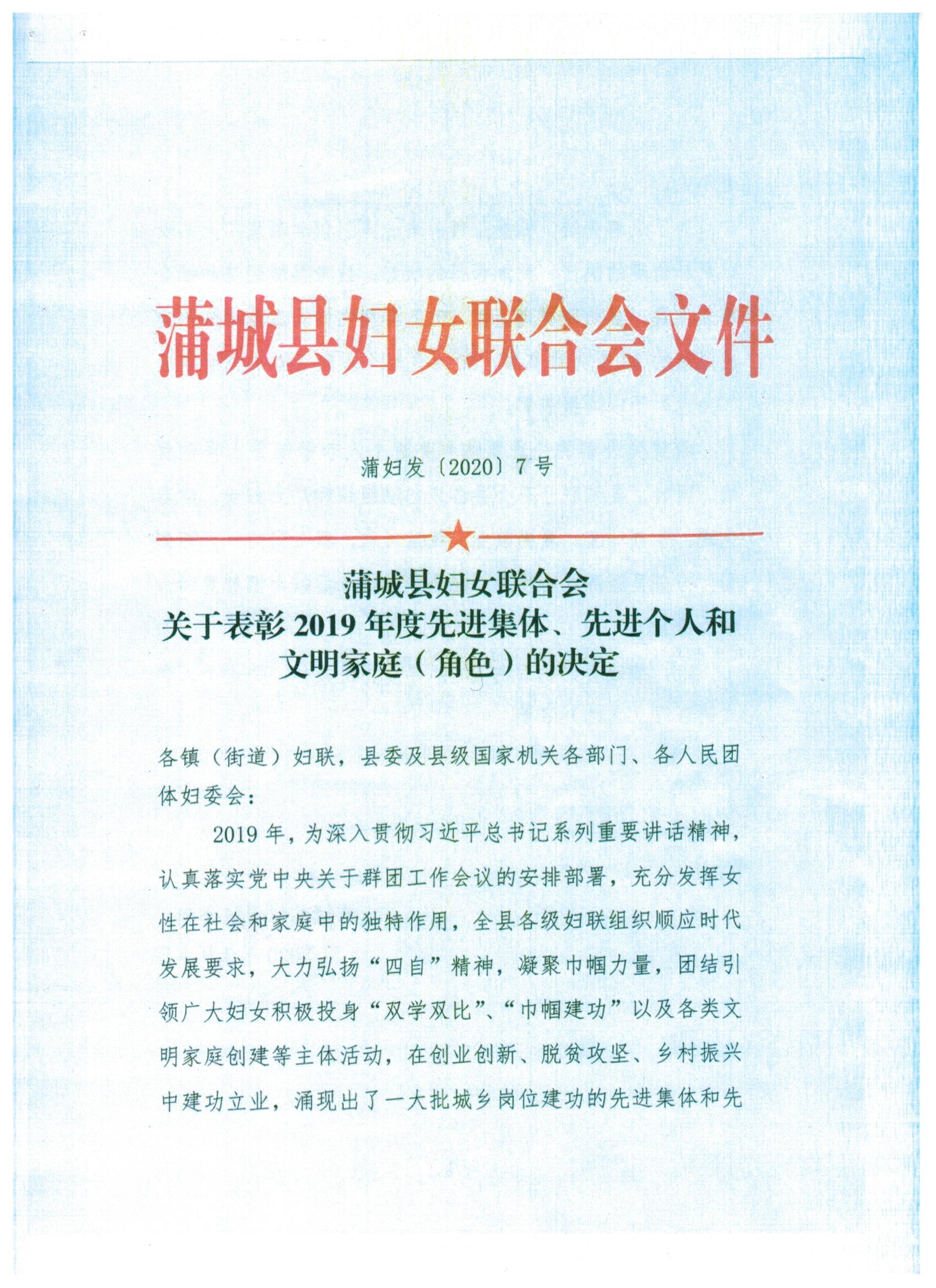 蒲城法院2016年总结表彰,蒲城县三八表彰