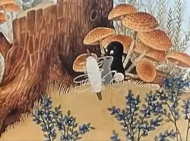 有什么好看的科普类动画片,好看的科普动画片