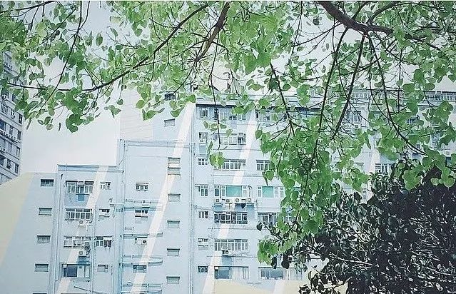 香港有趣的地名,香港有趣街道名