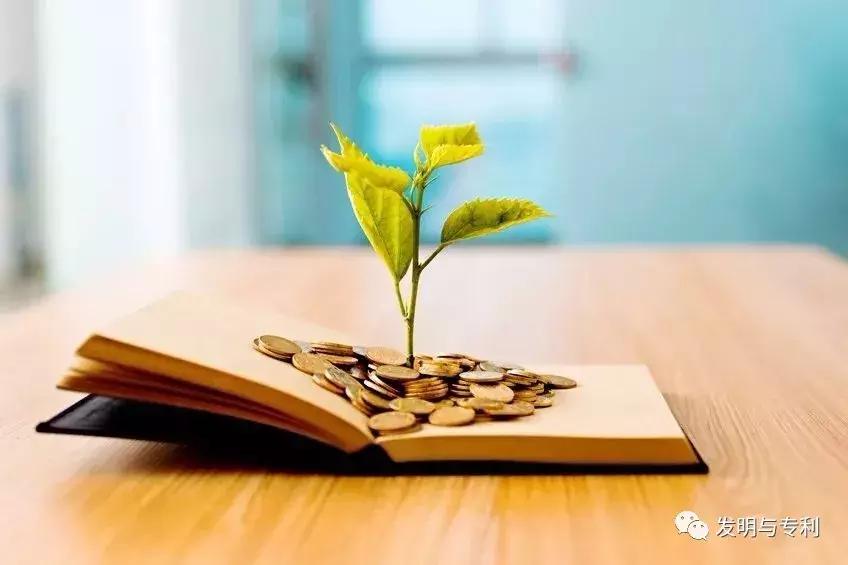靠专利赚钱是什么盈利模式,一个商业运营模式可以申请专利吗