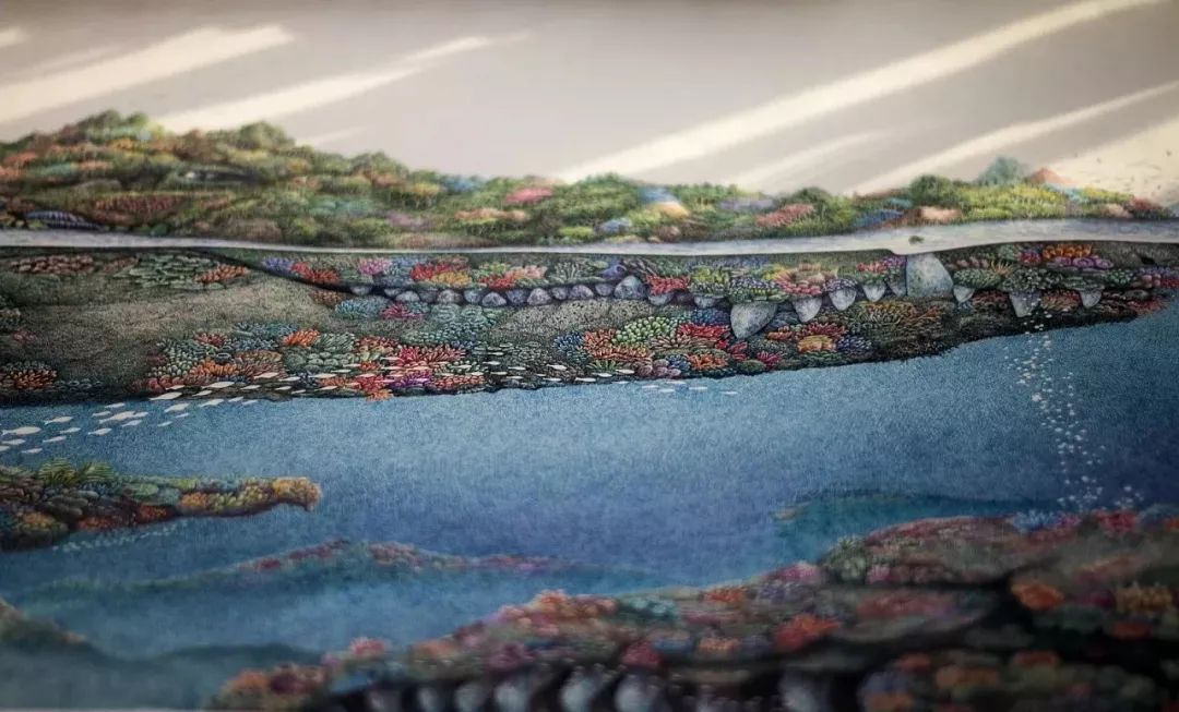 中国十大写实钢笔画作品,中国公认最漂亮钢笔字行草