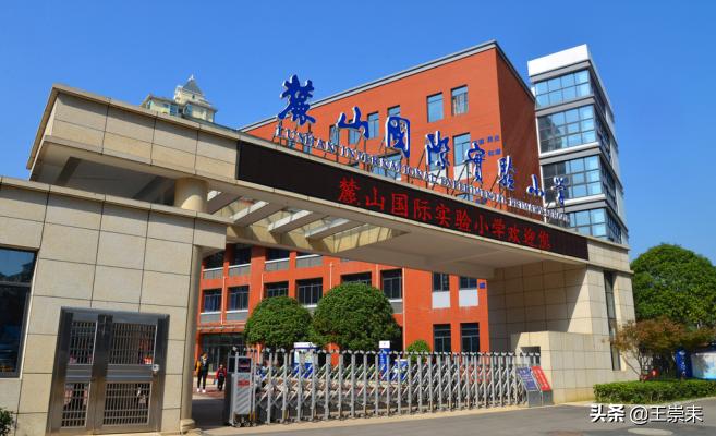 麓山国际实验学校对口楼盘,长沙麓山国际实验学校对口楼盘