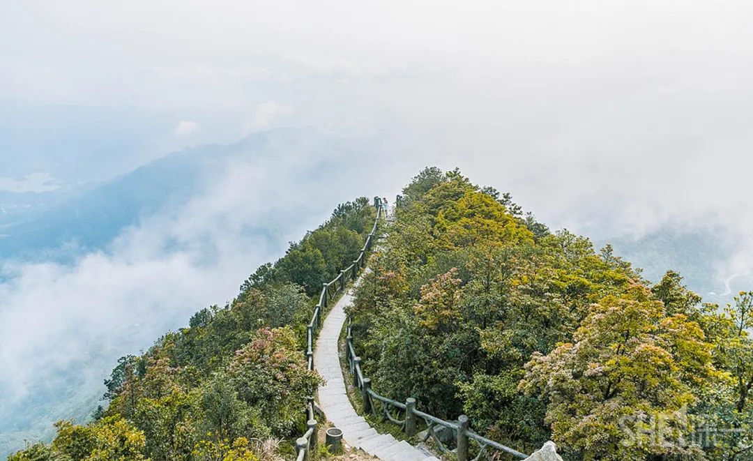 罗湖发达吗,罗湖区的实力到底有多强