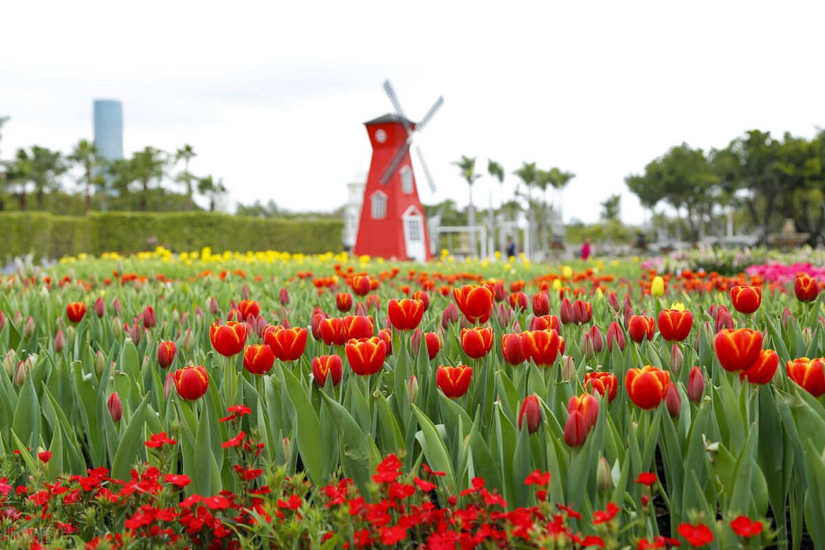 厦门五一旅游攻略景点打卡,厦门旅游必打卡景点