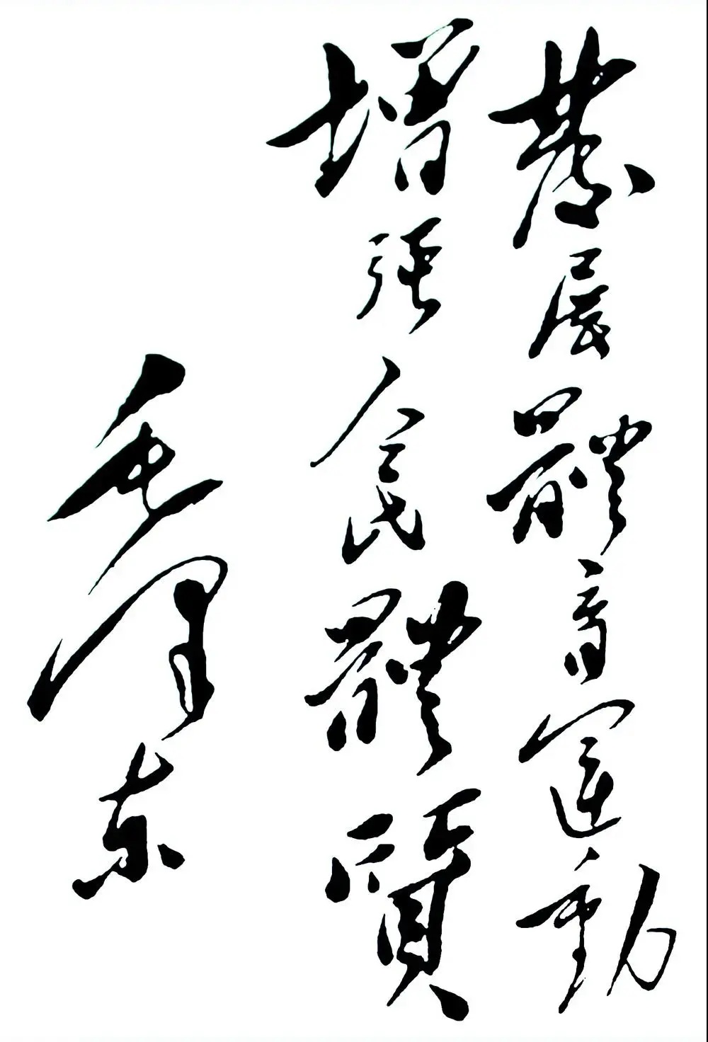 毛*东泽**的体育情缘